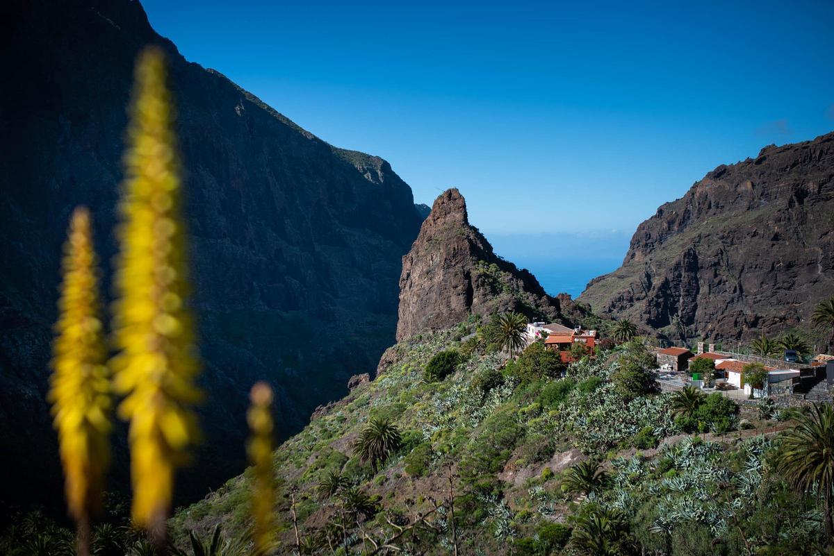 Barranco de Masca, en el municipio de Buenavista del Norte.
