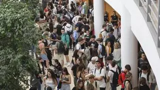 El TSJ avala que el grado de Medicina se imparta a partir de septiembre en la Universidad de Alicante