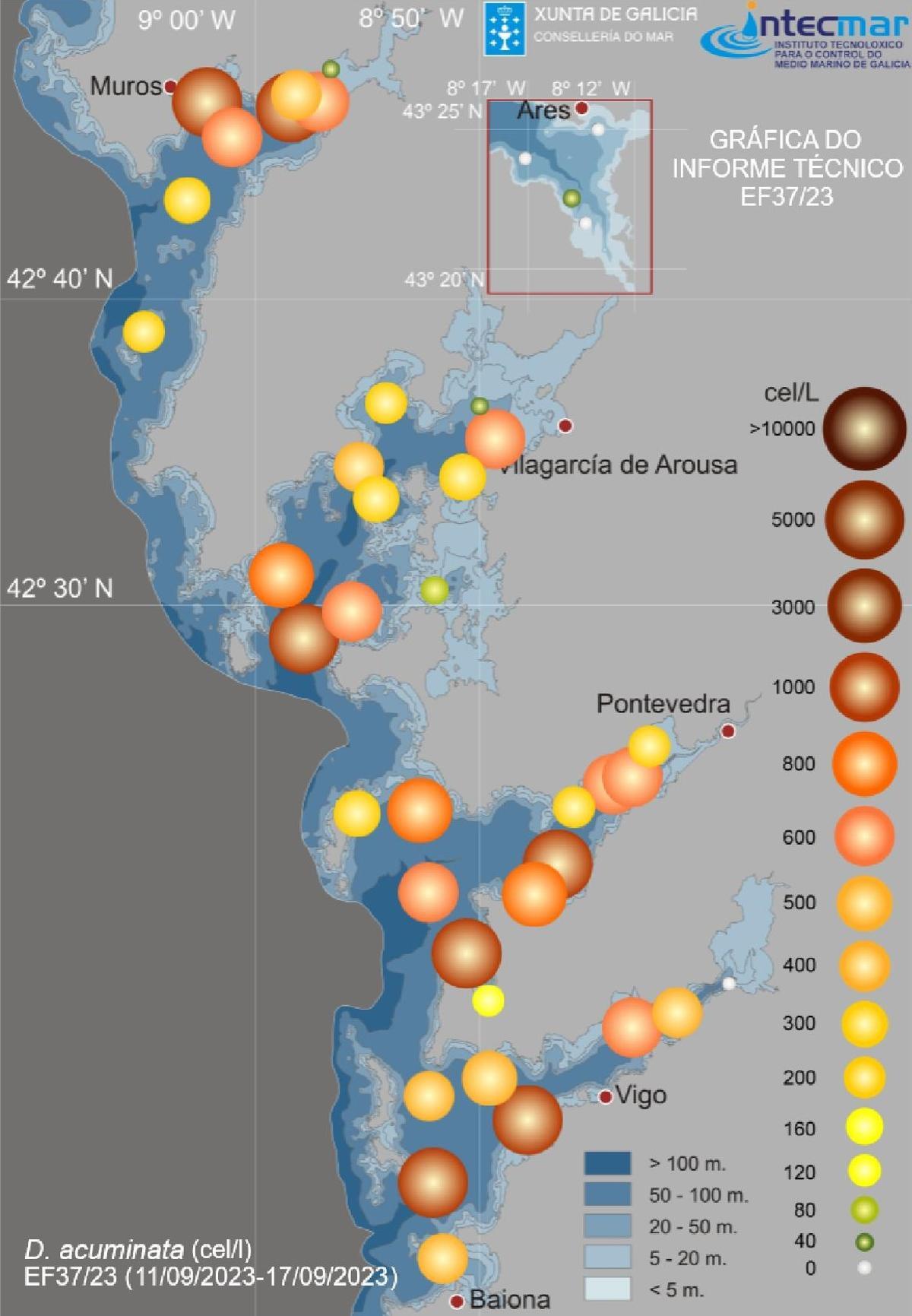 Mapa en el que se aprecia la fuerte evolución en las Rías Baixas del dinoflagelado “Dinophysis acuminata”, causante de toxinas lipofílicas como la diarreica .