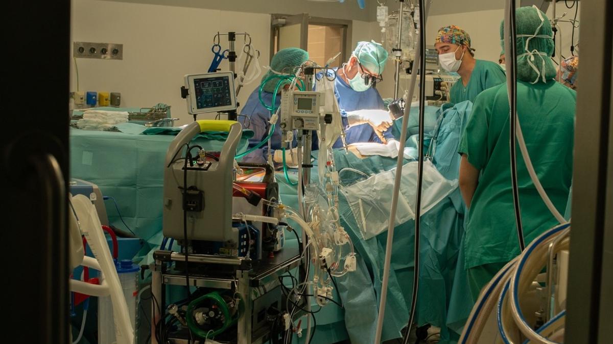 El equipo del Hospital Universitario de Badajoz realiza la intervención.