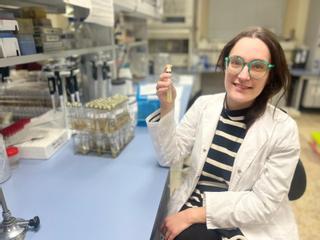 Hallazgo mundial en Castellón: Una científica de Burriana descubre una nueva especie de hongo