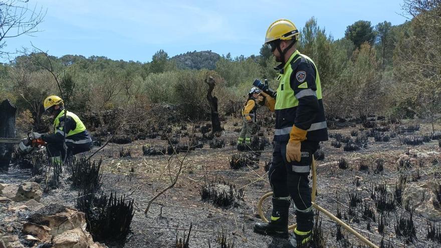 Brand in Son Servera auf Mallorca zerstört 1.500 Quadratmeter Buschland