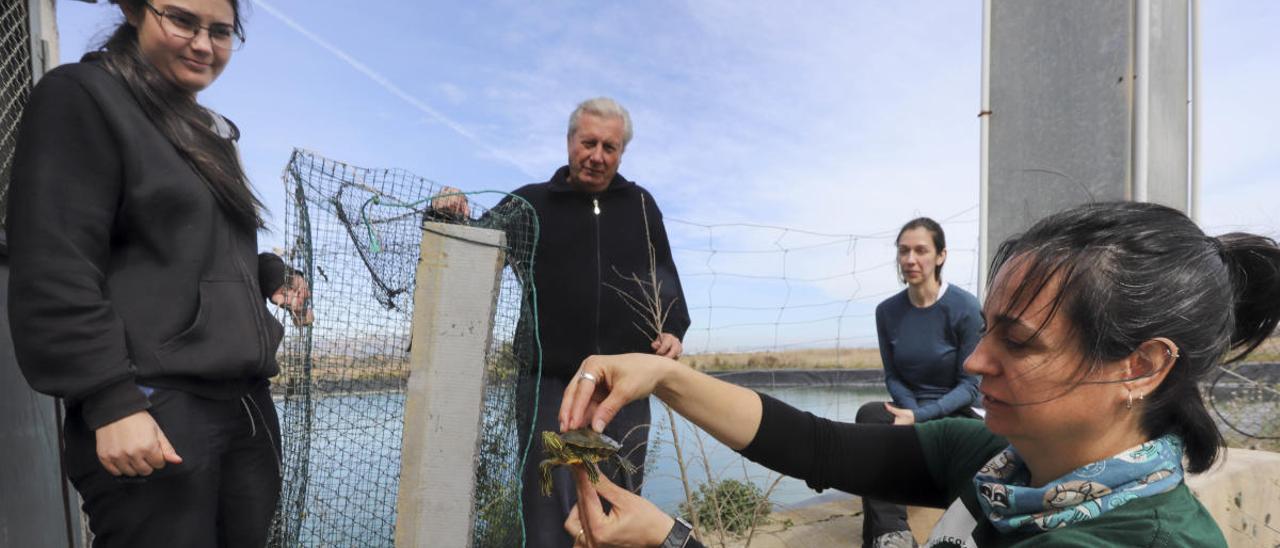 Los &#039;guardianes&#039; del marjal de Almardà