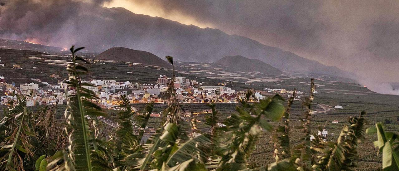 Imagen de lplantaciones de plataneras en la costa oeste de La Palma con el volcán de erupción de fondo. | | KIKE RINCÓN / EUROPA PRESS