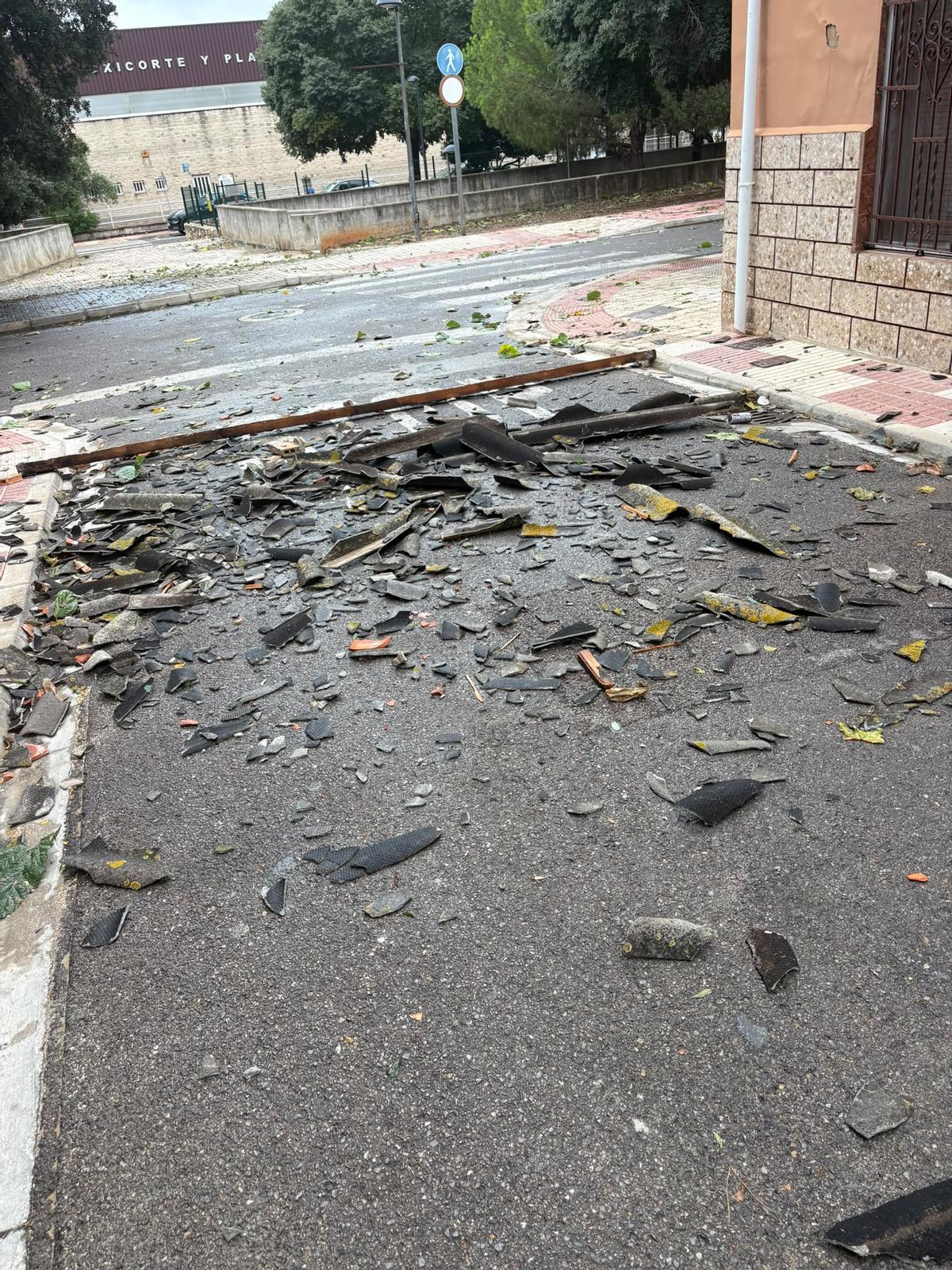 Restos de un tejado en el suelo de una calle del Carrascalet en Algemesí.