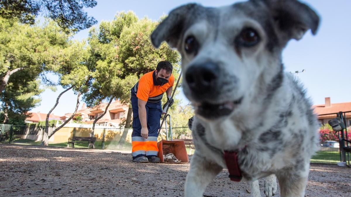 Un operario de la limpieza, trabajando en un parque de Alicante