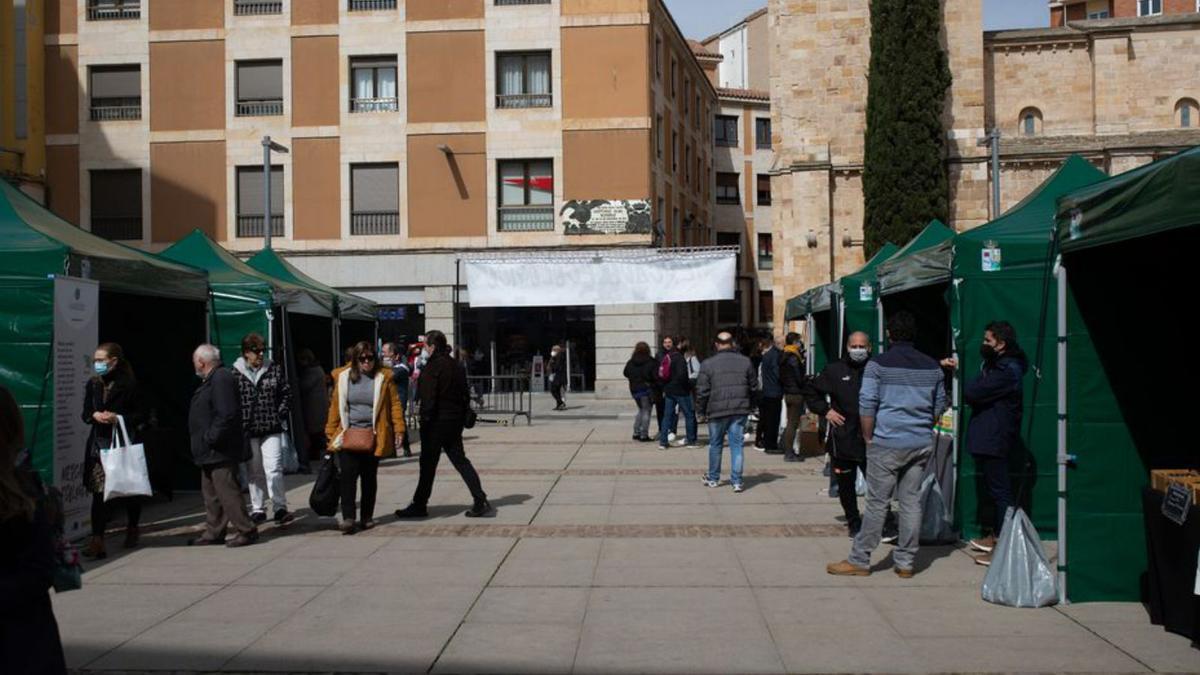 Mercado ecológico en la plaza de la Constitución. | E. F.