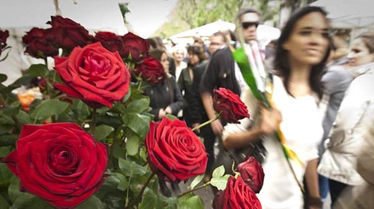 Tot i la crisi i els núvols de primera hora el públic viu intensament la festa literària més popular.