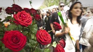 Tot i la crisi i els núvols de primera hora el públic viu intensament la festa literària més popular.