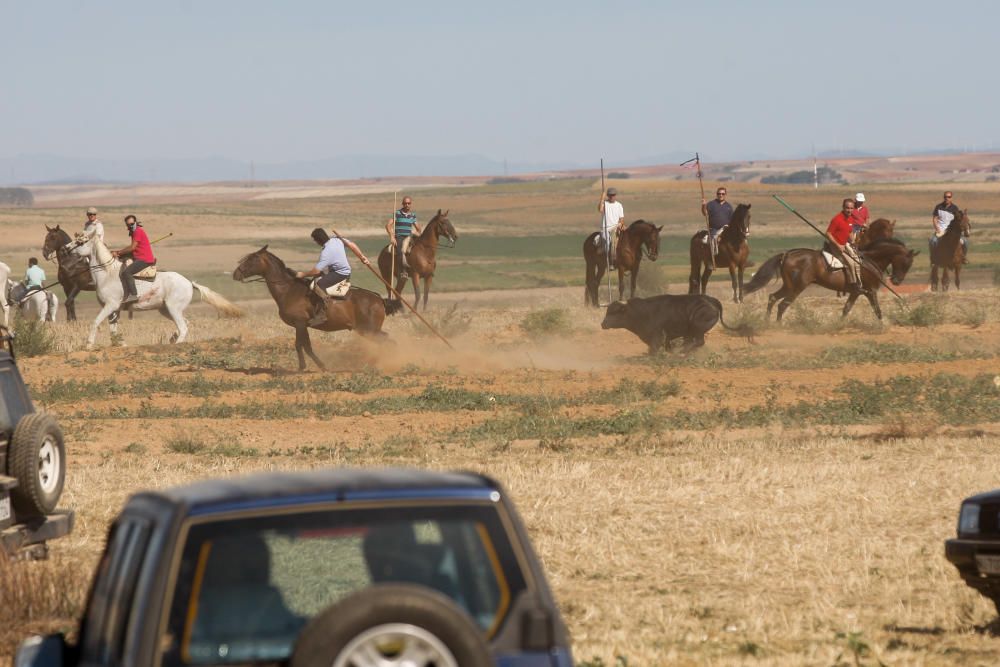 Encierro campero Coreses