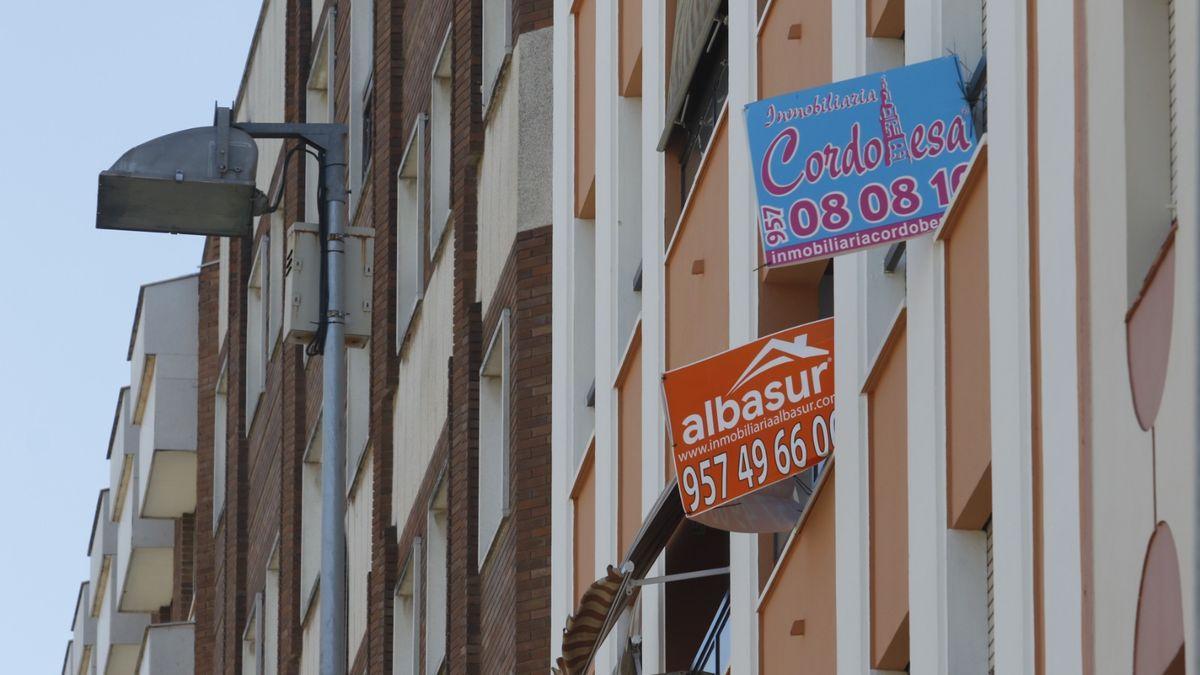 Carteles de inmobiliarias en un bloque de viviendas de Córdoba.