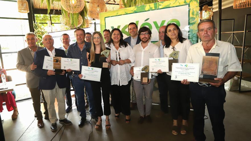 XI Premios a los mejores aceites de oliva virgen extra del Valle del Guadalquivir