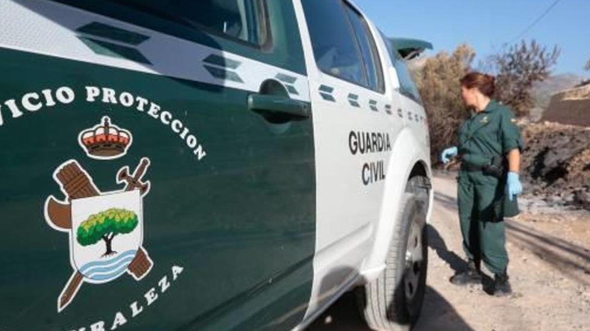 El Seprona rescata más de 300 peces de un estanque que se vaciaba en Arguineguín