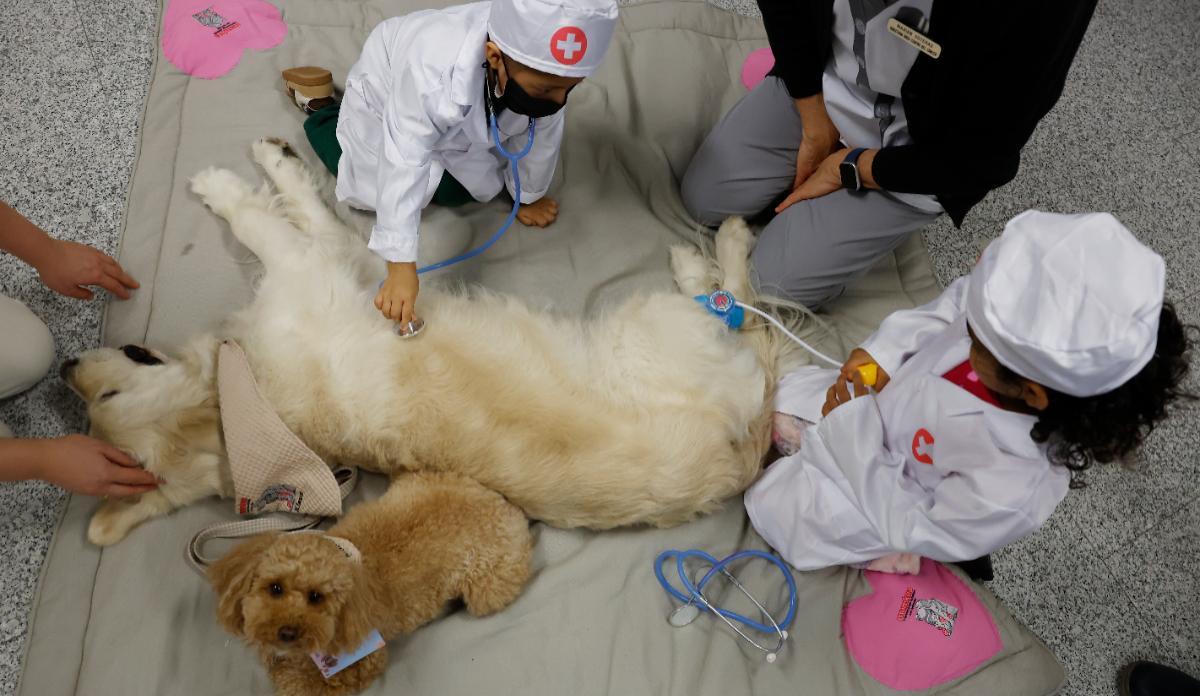 La evidencia científica respalda los beneficios de estas terapias.