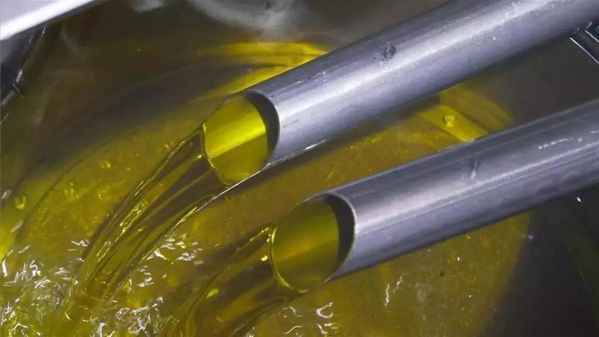 El aceite de oliva es el producto cordobés con más penetración en el mercado americano.