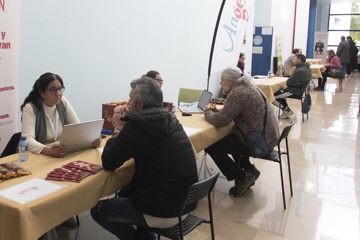 Todas las fotos del "maratón" de entrevistas laborales celebrado en Xàtiva