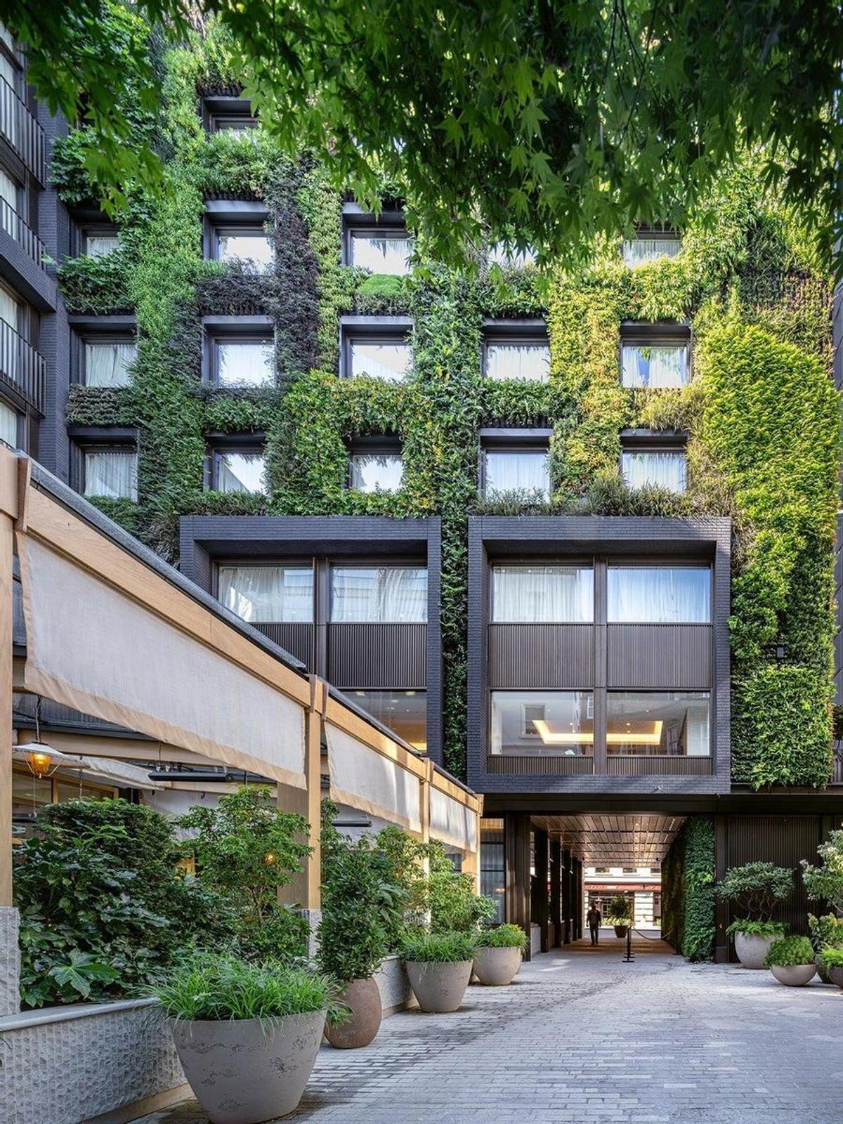El espectacular jardín vertical creado por la empresa sevillana Terapia Urbana para un edificio de CrossTree Properties en la calle Berkeley Street de Londres, que actualmente es un hotel.