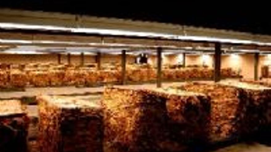 Bermejo expone su plan para las fábricas de tabaco hasta el año 2010