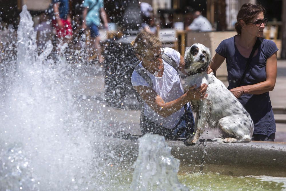 Valencia supera los 30 grados