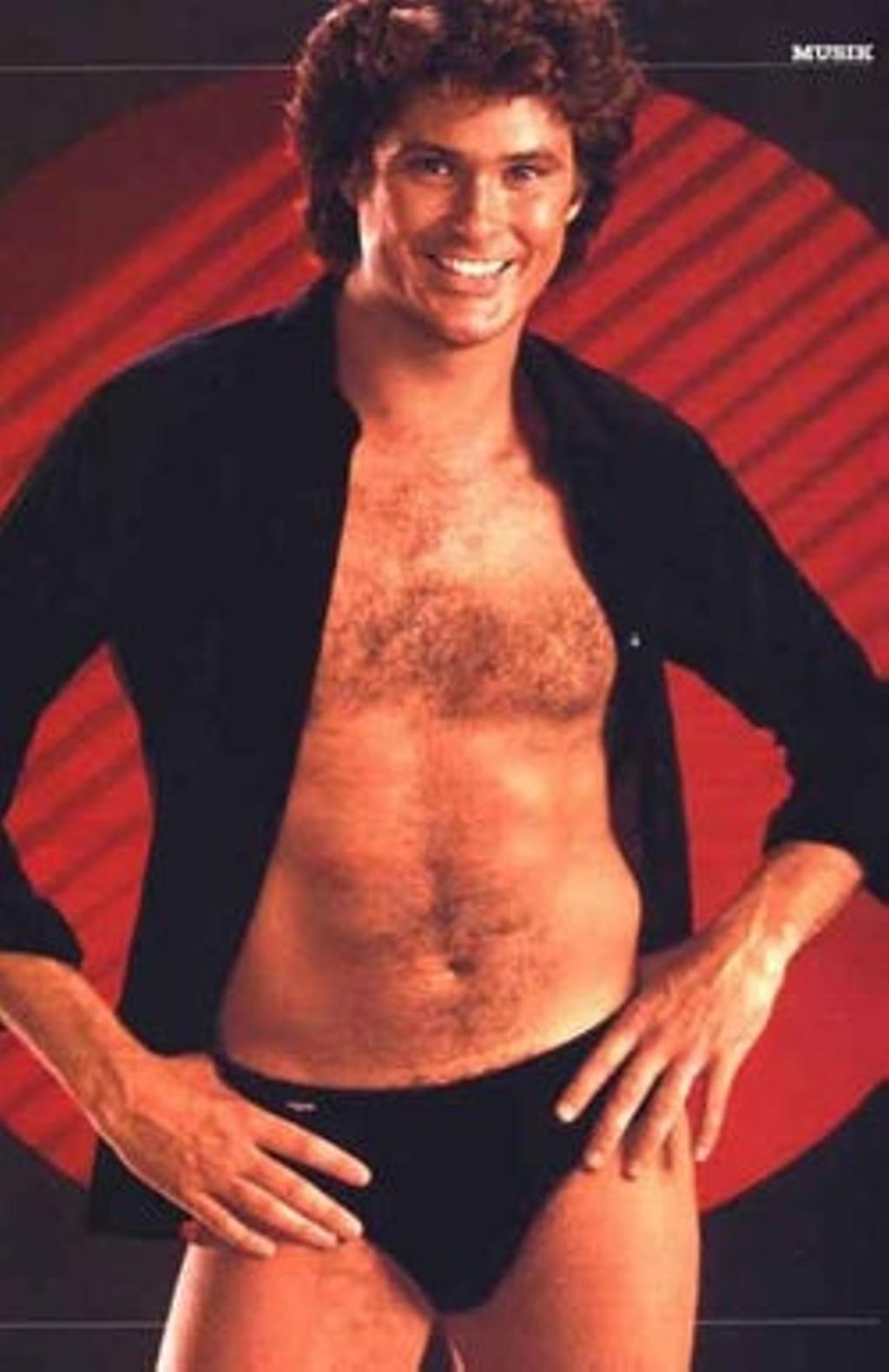 David Hasselhoff lo flipa