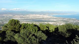 Seis rutas de senderismo para hacer en Alhaurín de la Torre