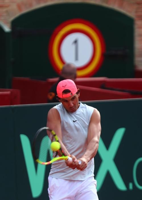 Rafa Nadal y David Ferrer entrenan en Valencia