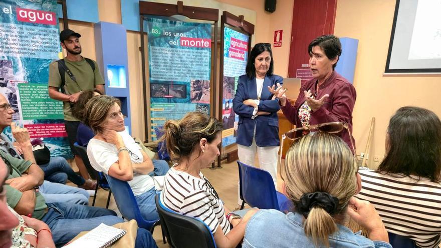 El Cabildo de Tenerife presenta un plan de 5 millones para transformar la movilidad en Anaga ante la saturación del tráfico