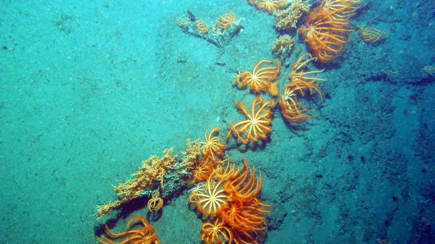 El Centro de Interpretación de los Cañones Submarinos de Avilés abre sus puertas en San Juan de Nieva
