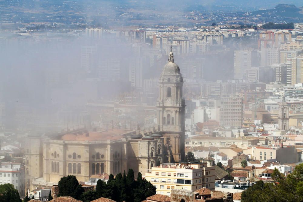 El taró cubre Málaga