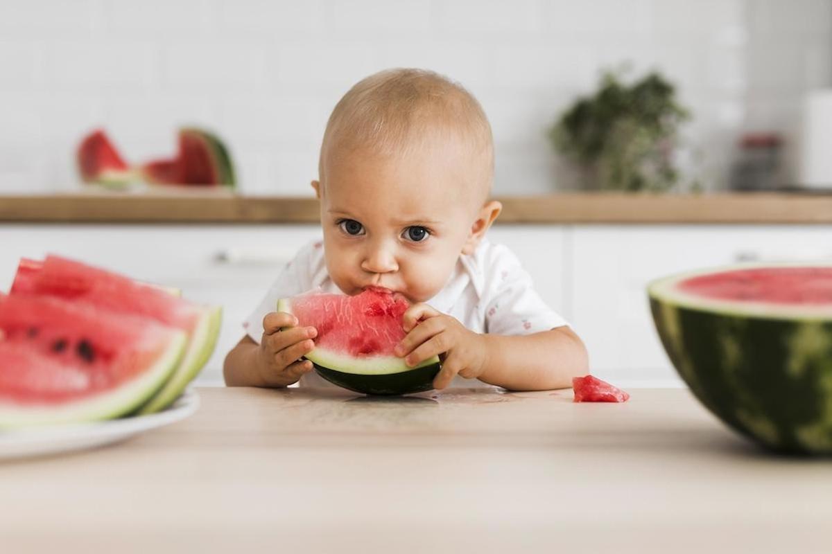 ofrecer-primeros-alimentos-copia ofrecer-primeros-alimentos-copia