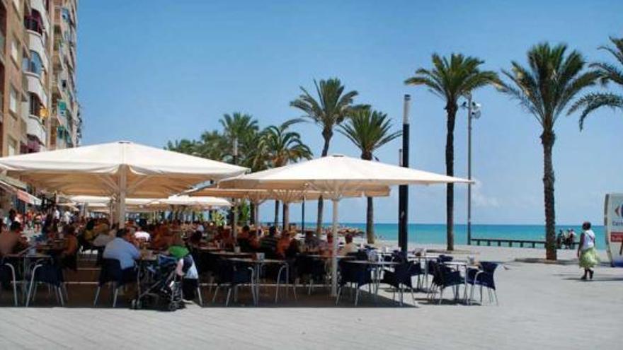 Vista del paseo de la playa del Cura de Torrevieja, ayer.