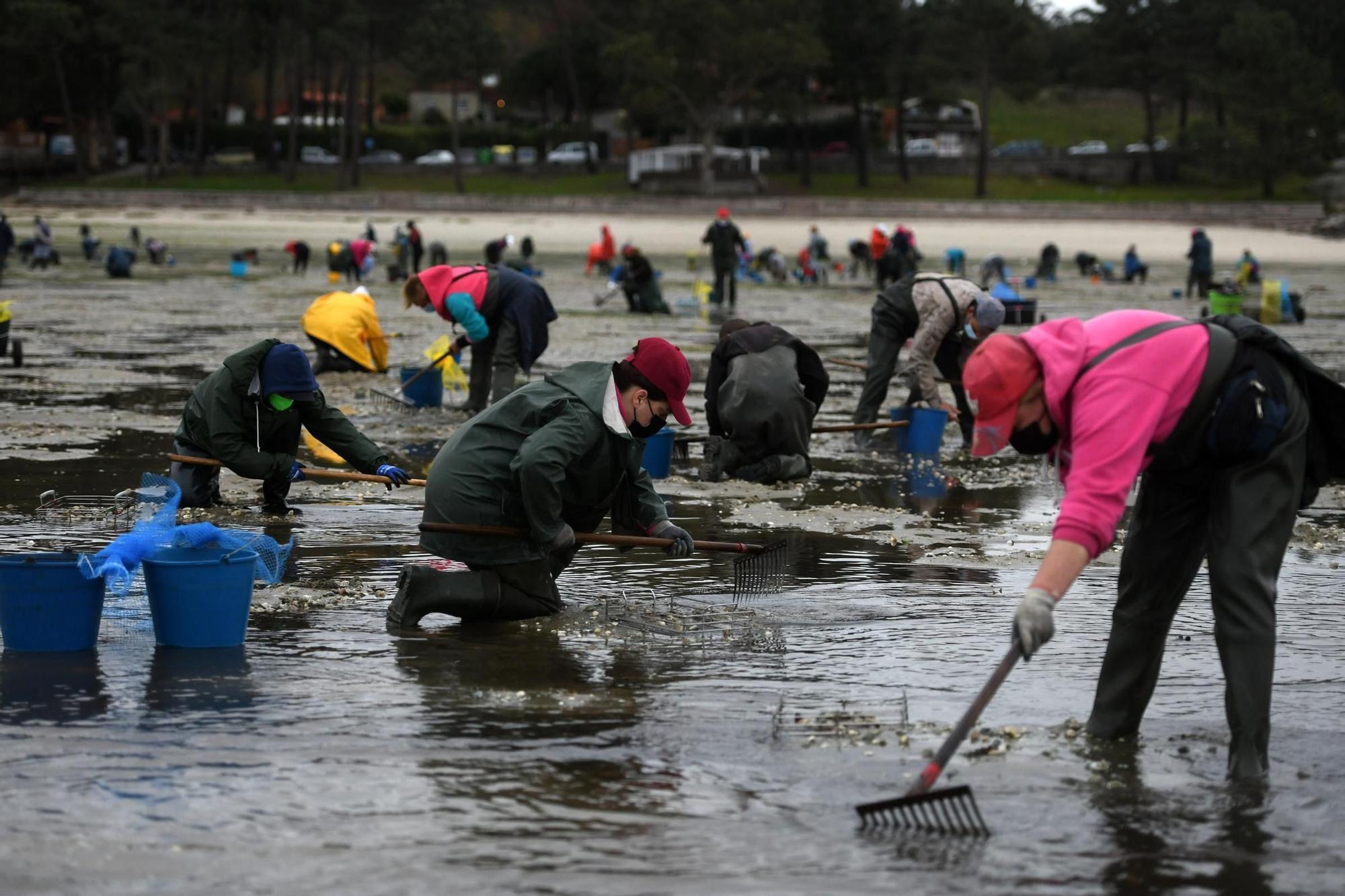 Las mariscadoras vuelven a faenar