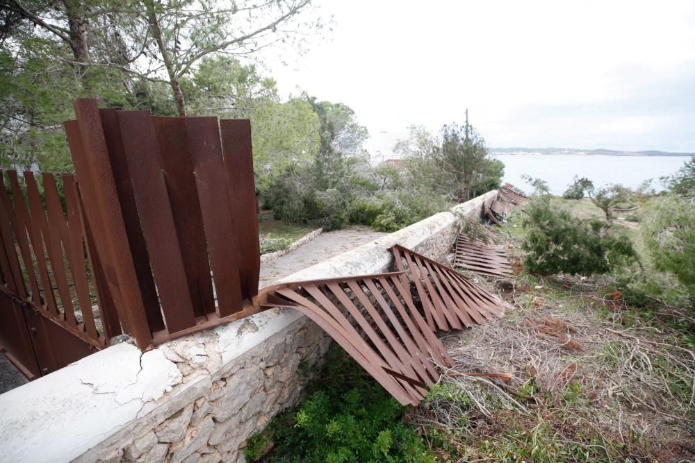 El viento entró por ses Variades y se cebó sobre todo en las zonas de Cala Gració y Can Coix hasta disiparse ya cerca de Santa Agnès