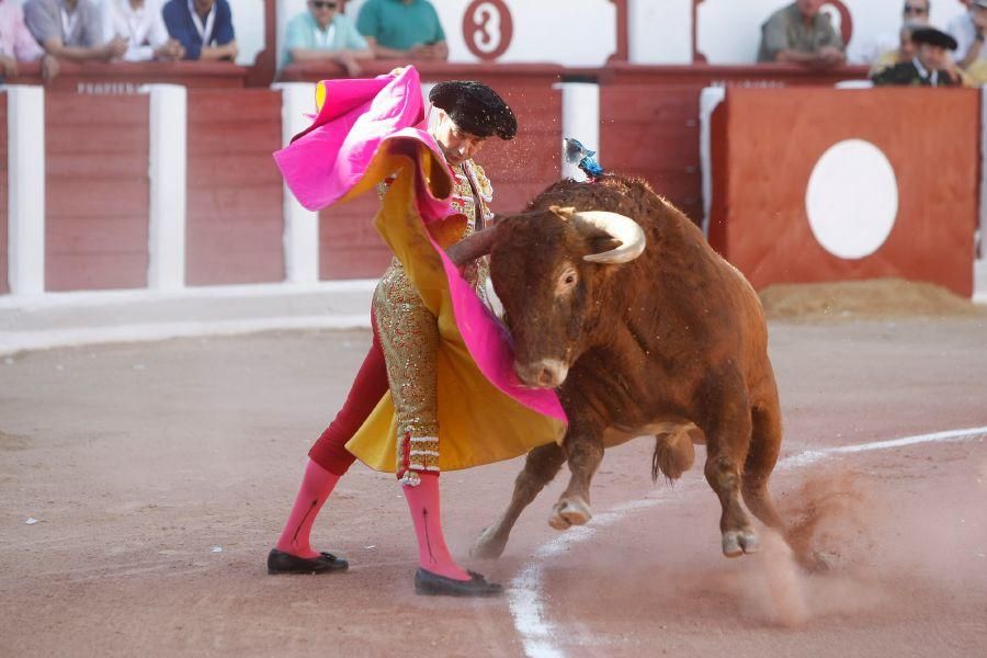 Toros en Zamora