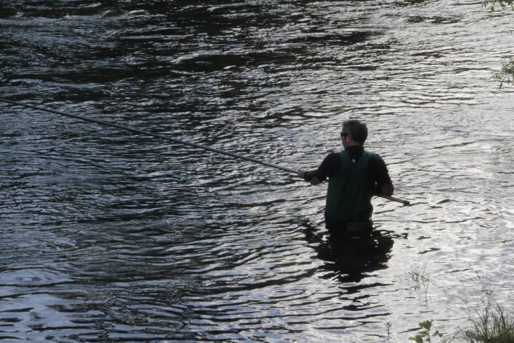 El salmón no pica en el Lérez