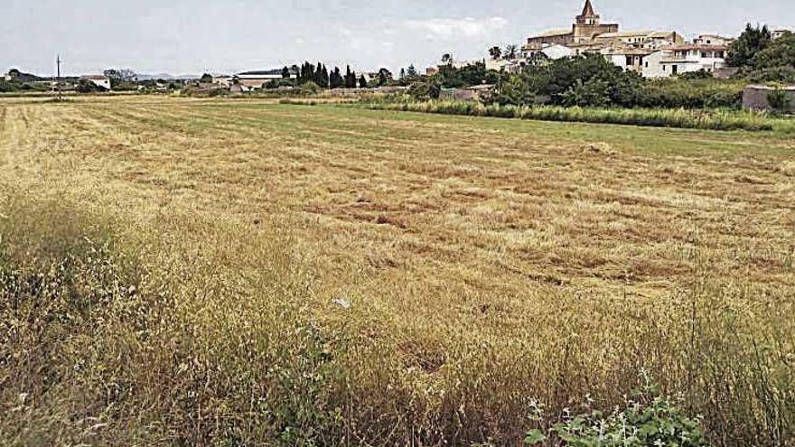 Área del pueblo de Porreres donde se construirá la ronda.