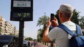La provincia de Córdoba estará el fin de semana en riesgo extremo de incendios