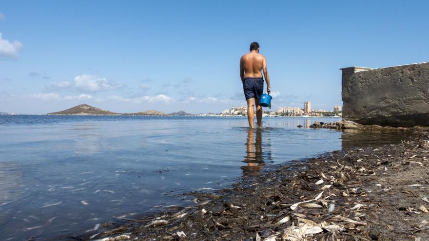 Murcia achaca a &quot;motivos políticos&quot; que no se declare la zona catastrófica en el Mar Menor