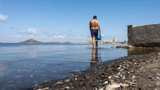 Murcia achaca a "motivos políticos" que no se declare la zona catastrófica en el Mar Menor