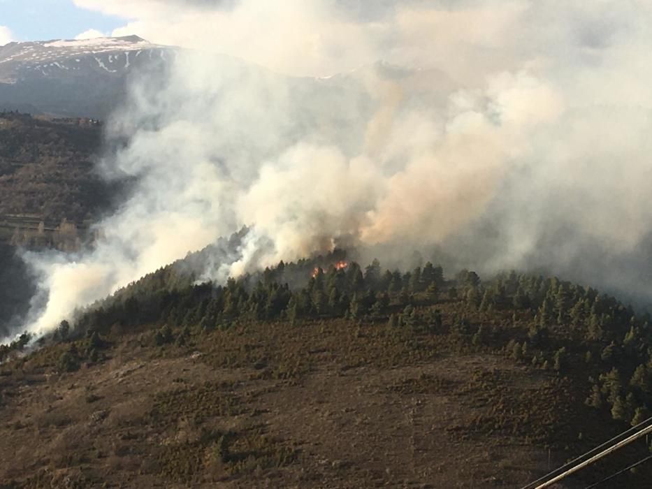 Incendi a una zona forestal de Montellà i Martinet