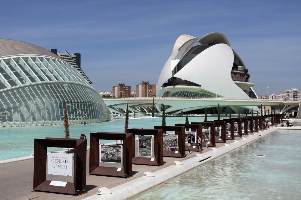 Exposición de Sebastiao Salgado en la Ciudad de las Artes