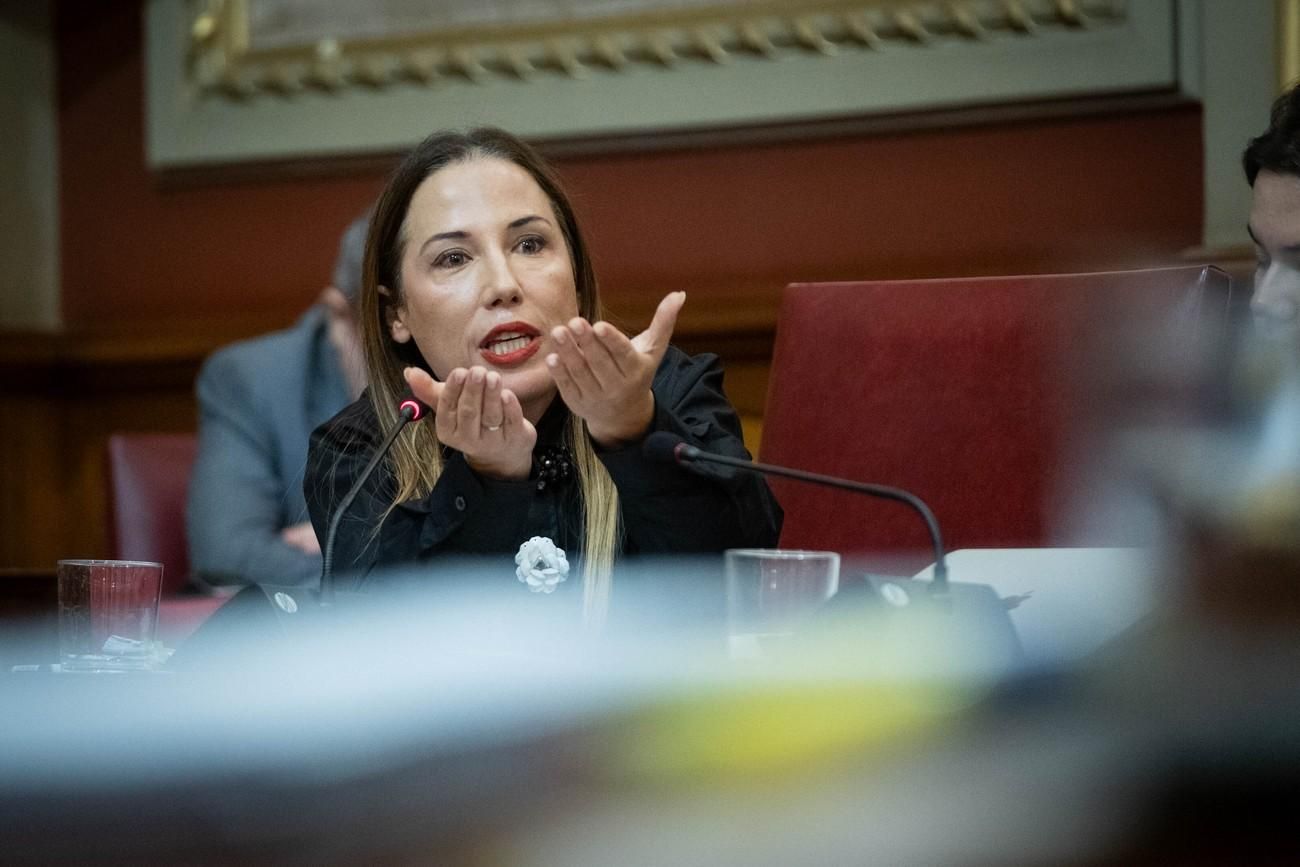 Pleno del Ayuntamiento de Santa Cruz de Tenerife del 29 de noviembre de 2024
