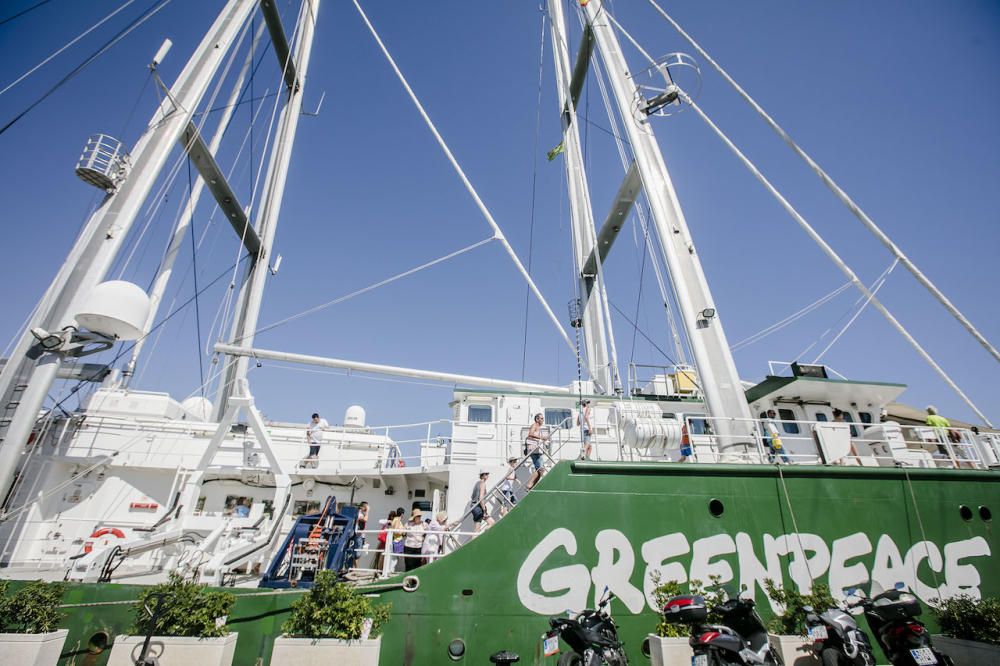 Greenpeace Mallorca Rainbow Warrior