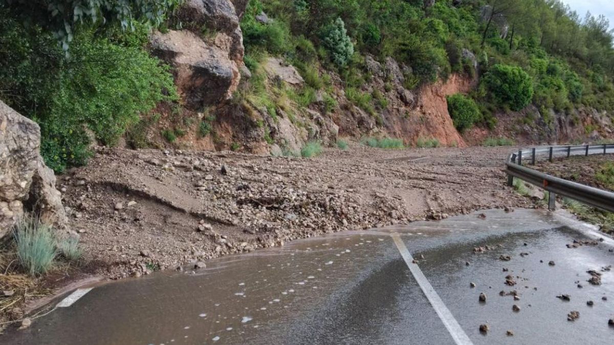 Algunes de les destrosses del temporal del 12 de juliol