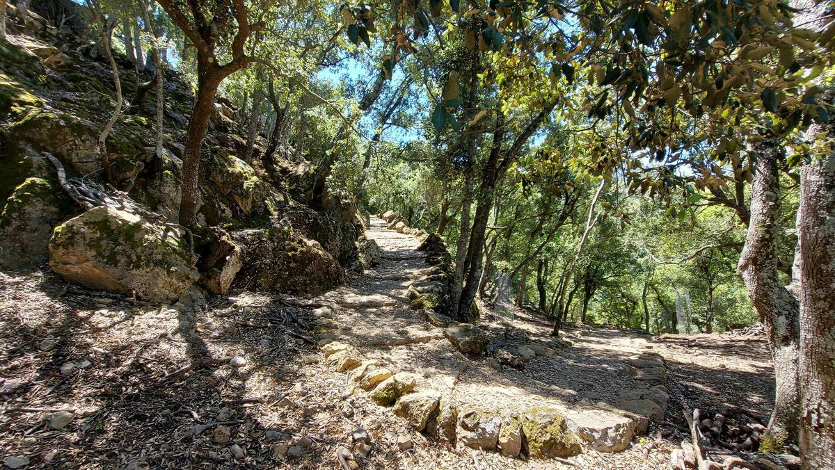 Die Zielgerade der Route ist ein kurviger Steinweg zur Wanderhütte Refugi de Son Amer. Die Zielgerade der Route ist ein kurviger Steinweg zur Wanderhütte Refugi de Son Amer.