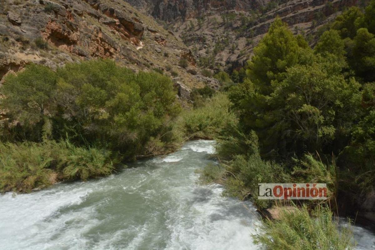 Descenso del Cañón de Almadenes Cieza 2016