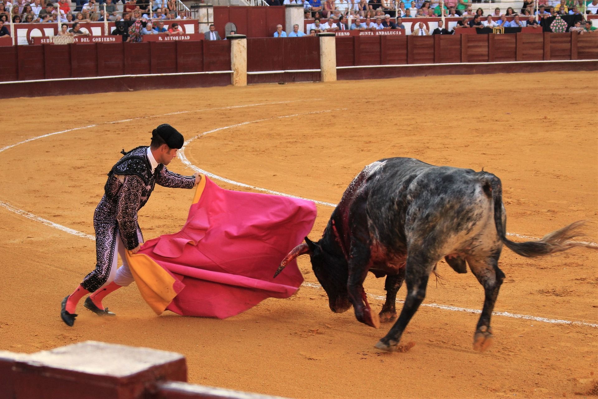 Corrida de toros