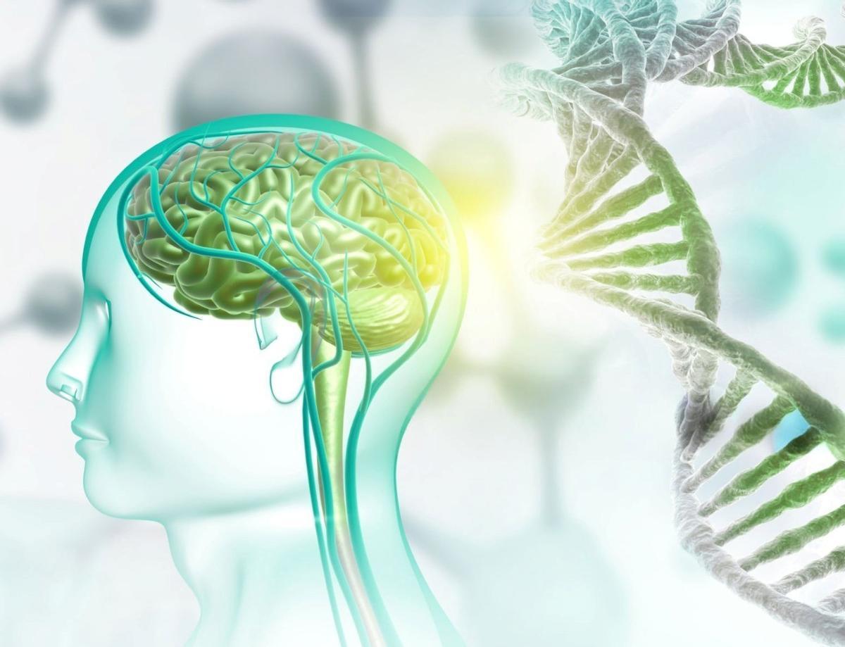 Se estima que el autismo idiopático afecta a una de cada cien personas