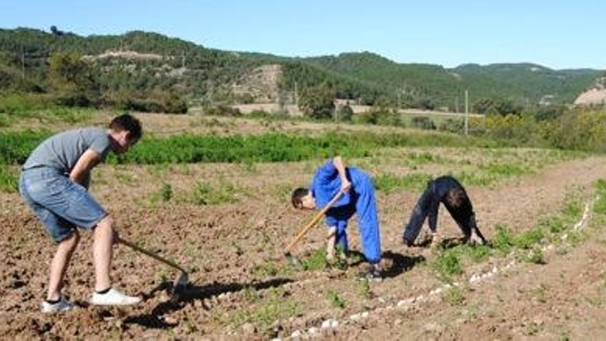 El Solsonès estudiarà el potencial per acollir projectes d&#039;agricultura social