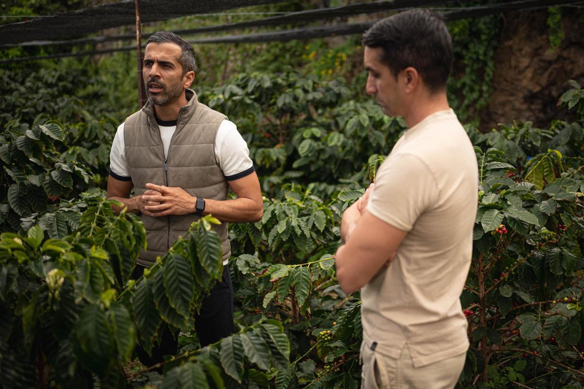 Los hermanos Abreu, productores de café en San Juan de la Rambla
